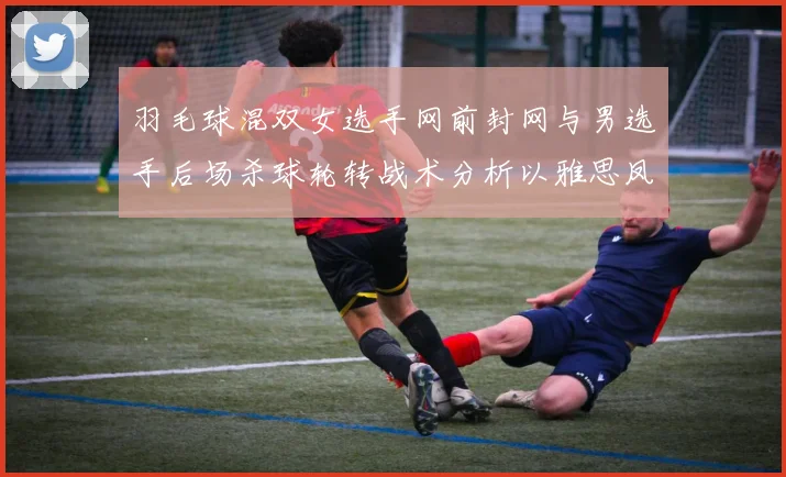 羽毛球混双女选手网前封网与男选手后场杀球轮转战术分析以雅思凤凰组合为例