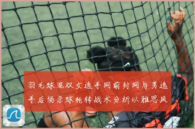 羽毛球混双女选手网前封网与男选手后场杀球轮转战术分析以雅思凤凰组合为例