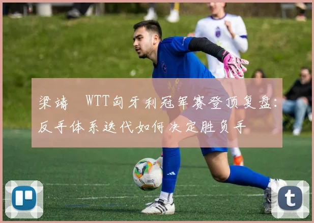 梁靖崑WTT匈牙利冠军赛登顶复盘：反手体系迭代如何决定胜负手